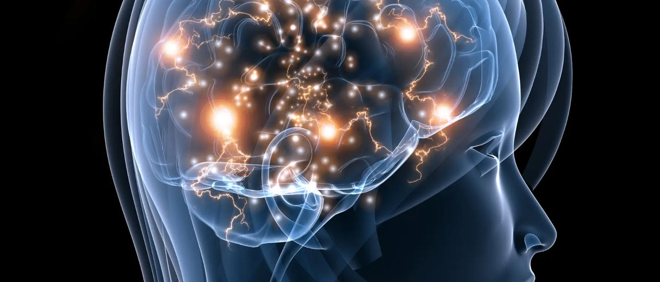 Brain fog and inflammation in women connected to low-grade inflammation, perimenopause, and gut signaling