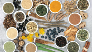 What Are Adaptogens, and why you should be taking them