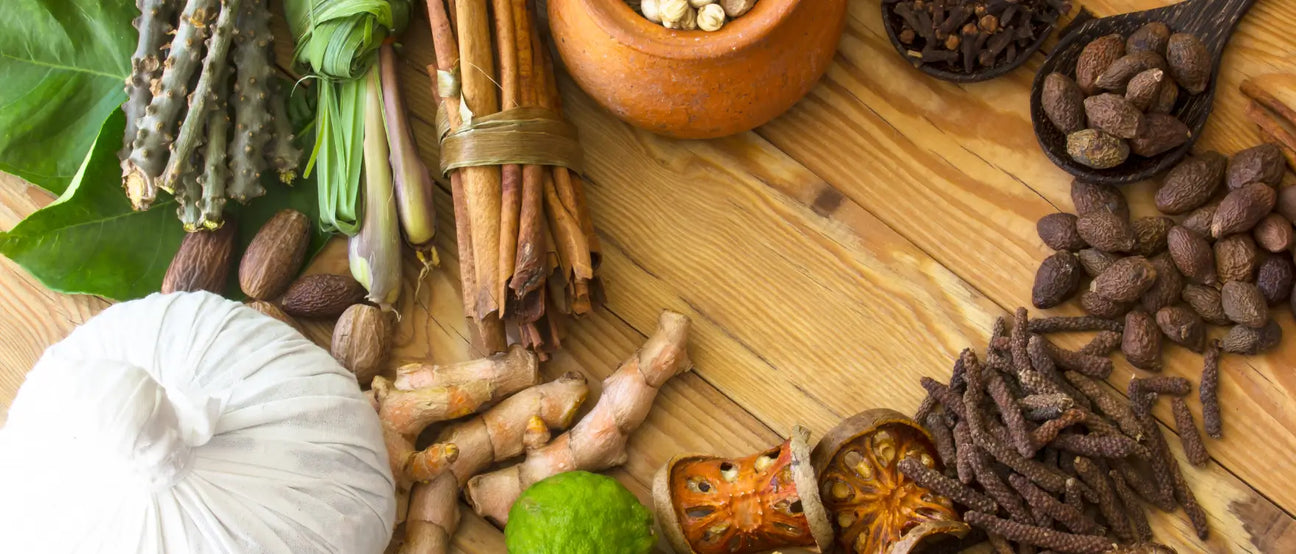 Prevention as an Investment: A Modern Case for Ayurveda