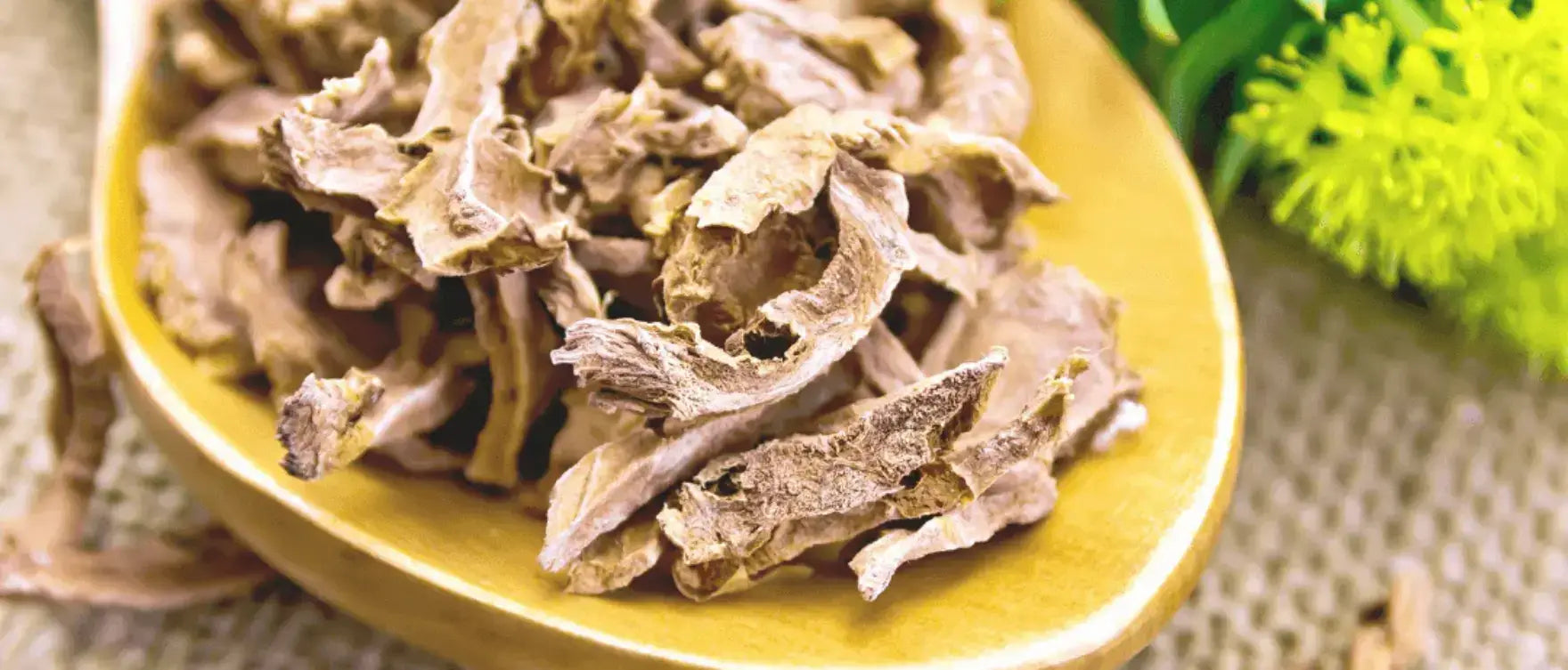 Close-up of dried Rhodiola rosea roots with fresh green herbs, emphasizing its resilience and vitality.