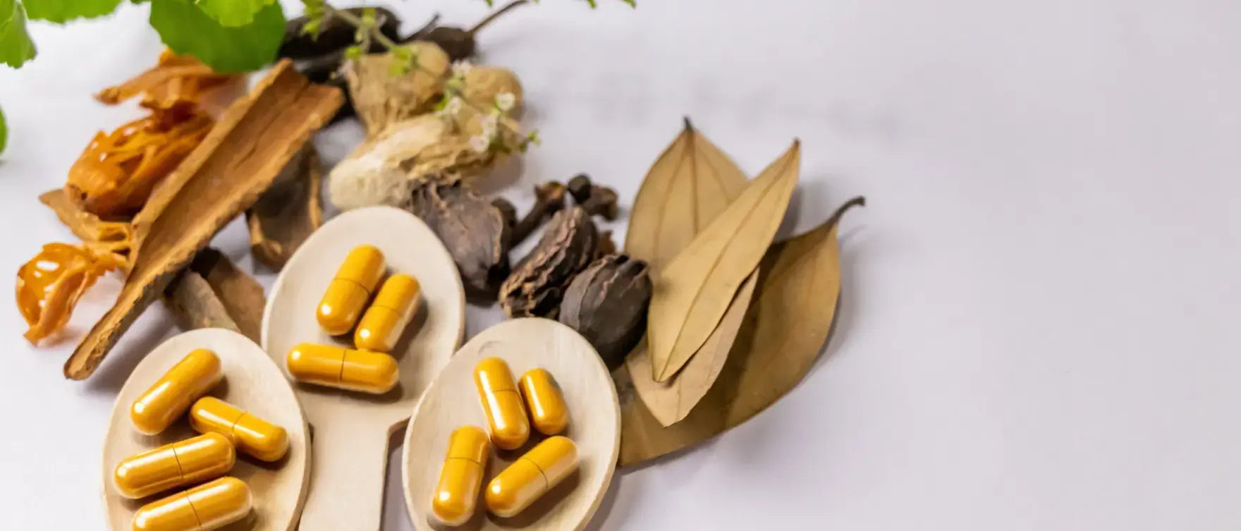 Ayurvedic capsules featuring turmeric supplement ingredients and herbal powders