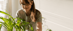 How Turmeric and Ashwagandha may Support Mental Well-Being